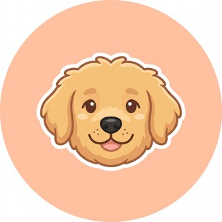 Tıraşı yeni yapılmış, tüyleri düzeltilmiş küçük bir köpek